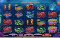 Dolphin Quest Slot